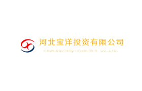 寶洋投資